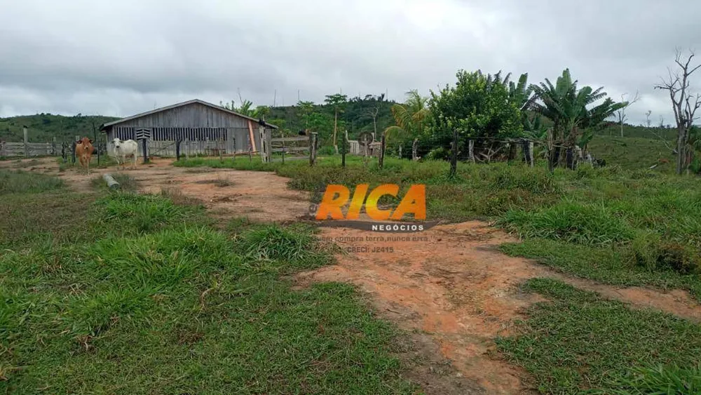 Fazenda, 1450 hectares - Foto 12