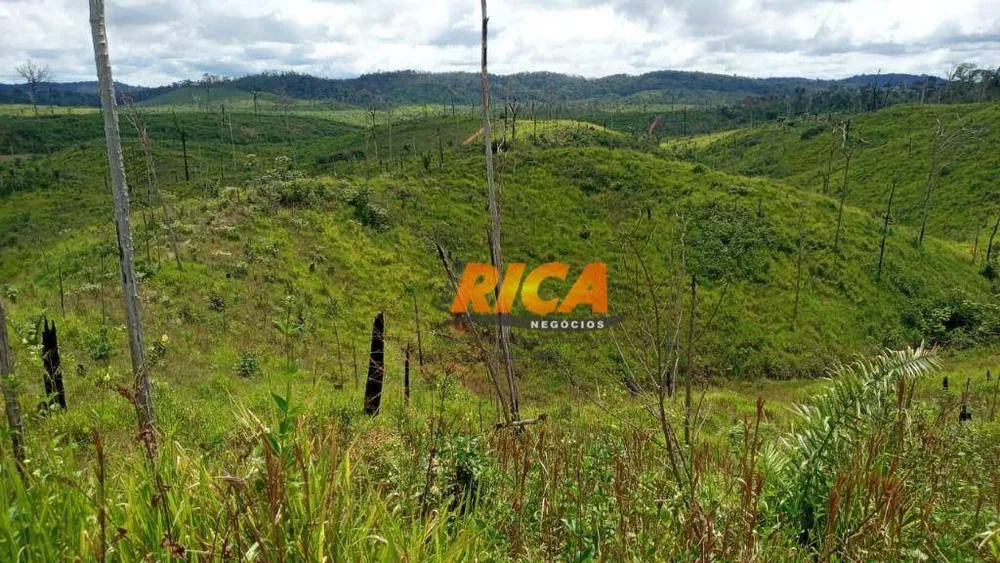 Fazenda, 1450 hectares - Foto 7