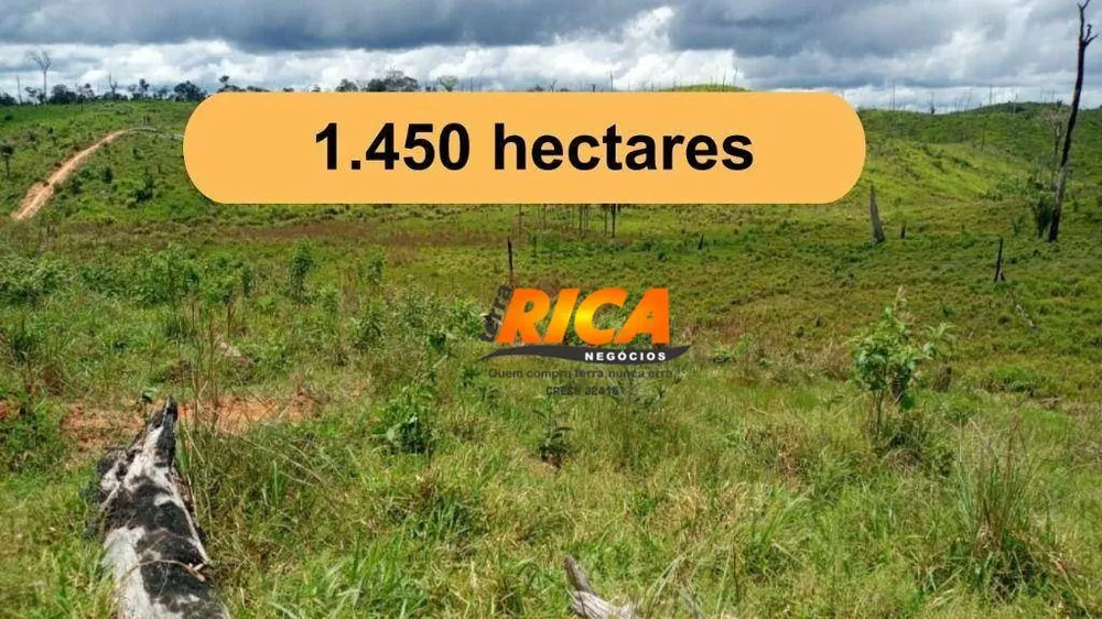 Fazenda, 1450 hectares - Foto 2