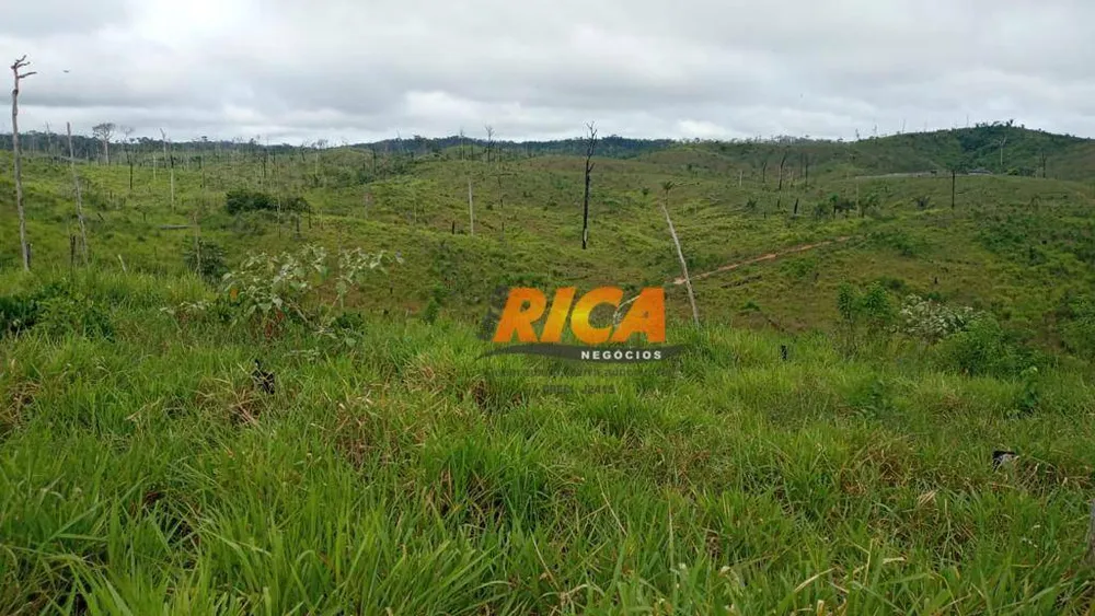 Fazenda, 1450 hectares - Foto 8