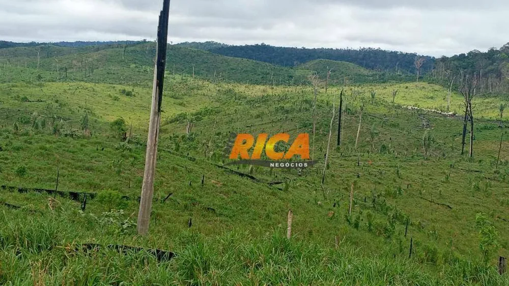 Fazenda, 1450 hectares - Foto 4