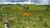 Fazenda, 1450 hectares - Foto 2