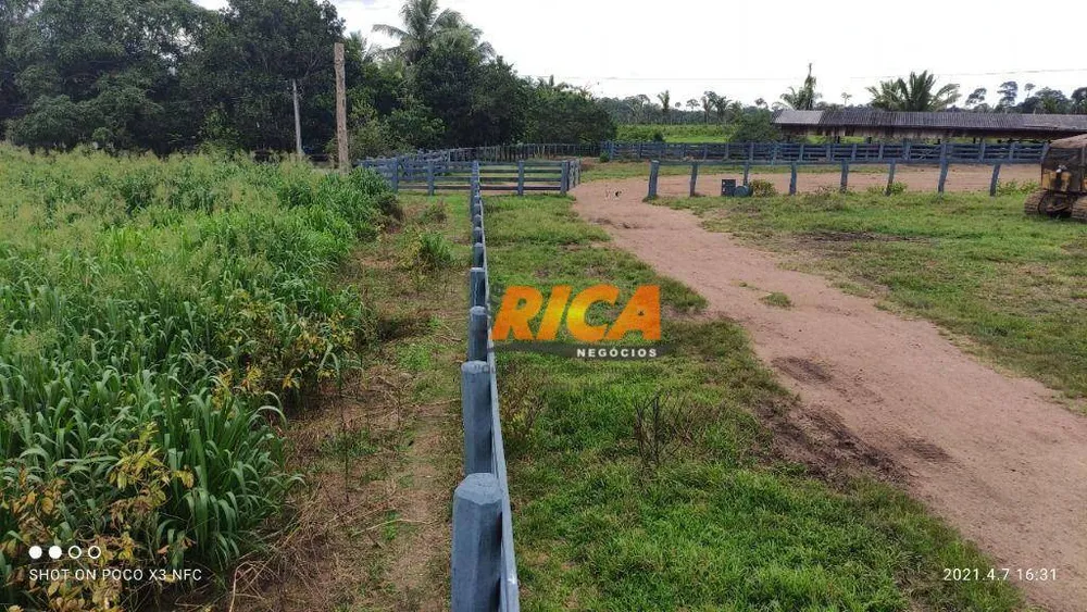 Fazenda, 1548 hectares - Foto 11