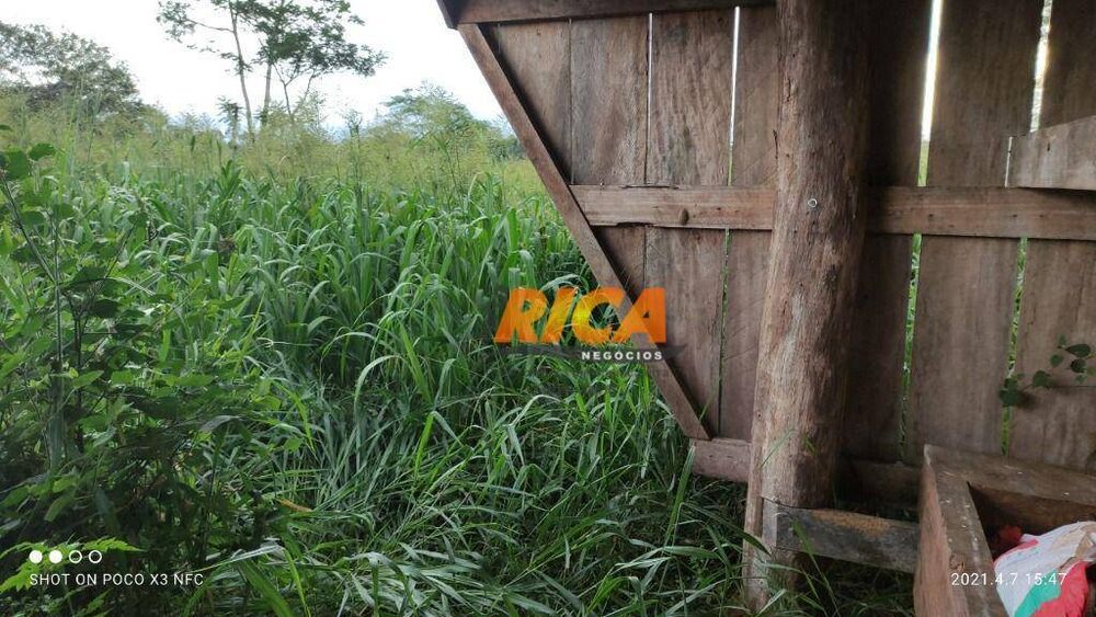 Fazenda, 1548 hectares - Foto 3