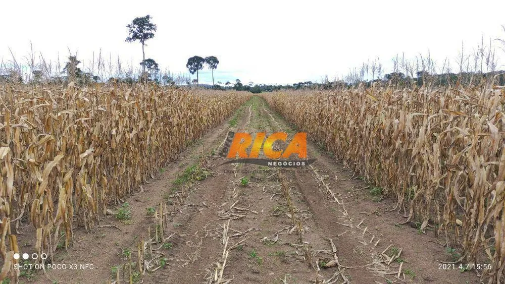 Fazenda, 1548 hectares - Foto 4