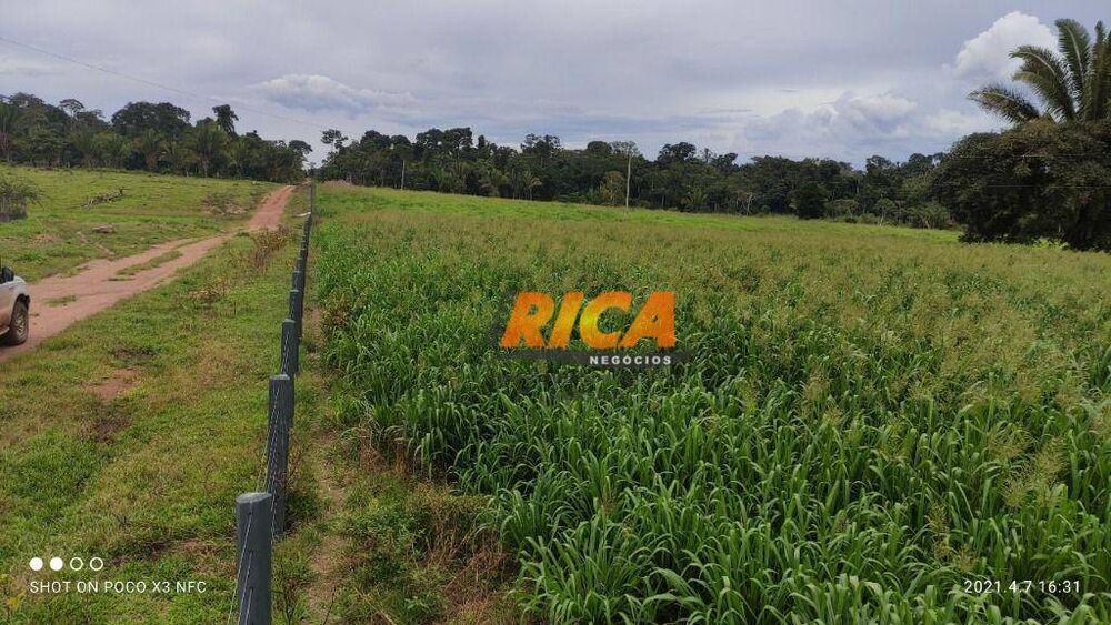 Fazenda, 1548 hectares - Foto 4