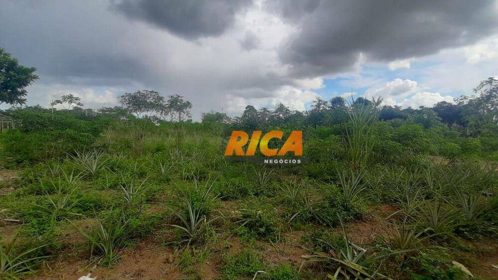 Chácara, 2 quartos, 5799 m² - Foto 1