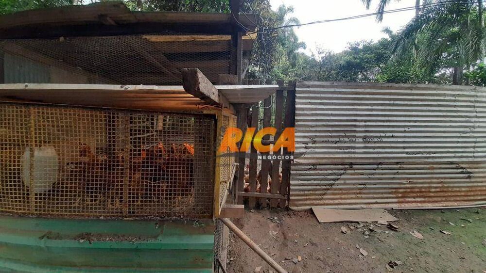 Chácara, 2 quartos, 5799 m² - Foto 3