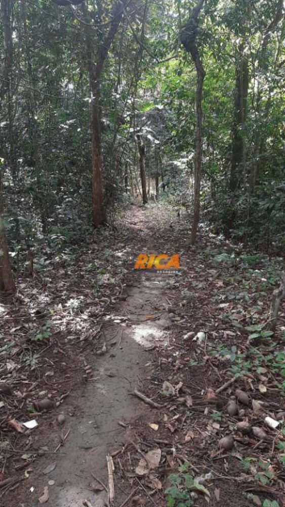 Chácara, 2 quartos, 5799 m² - Foto 4