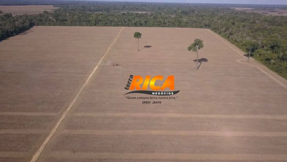 Fazenda, 192 hectares - Foto 8