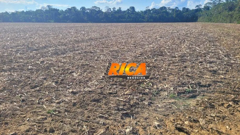 Fazenda, 192 hectares - Foto 6