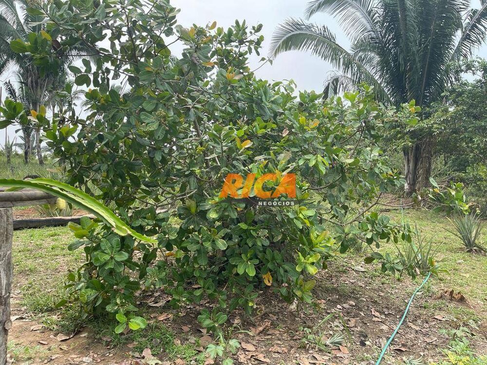 Chácara, 2 hectares - Foto 18