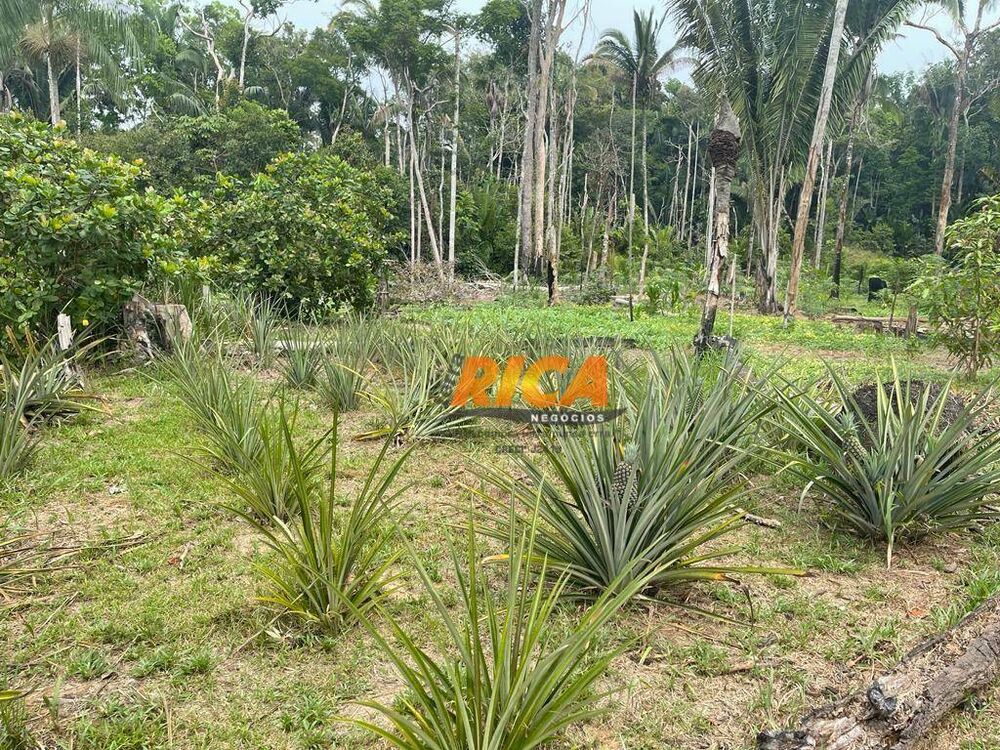 Chácara, 2 hectares - Foto 2