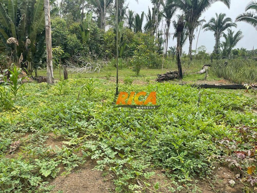 Chácara, 2 hectares - Foto 17