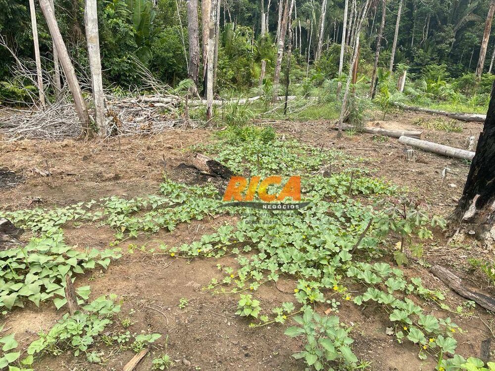 Chácara, 2 hectares - Foto 16