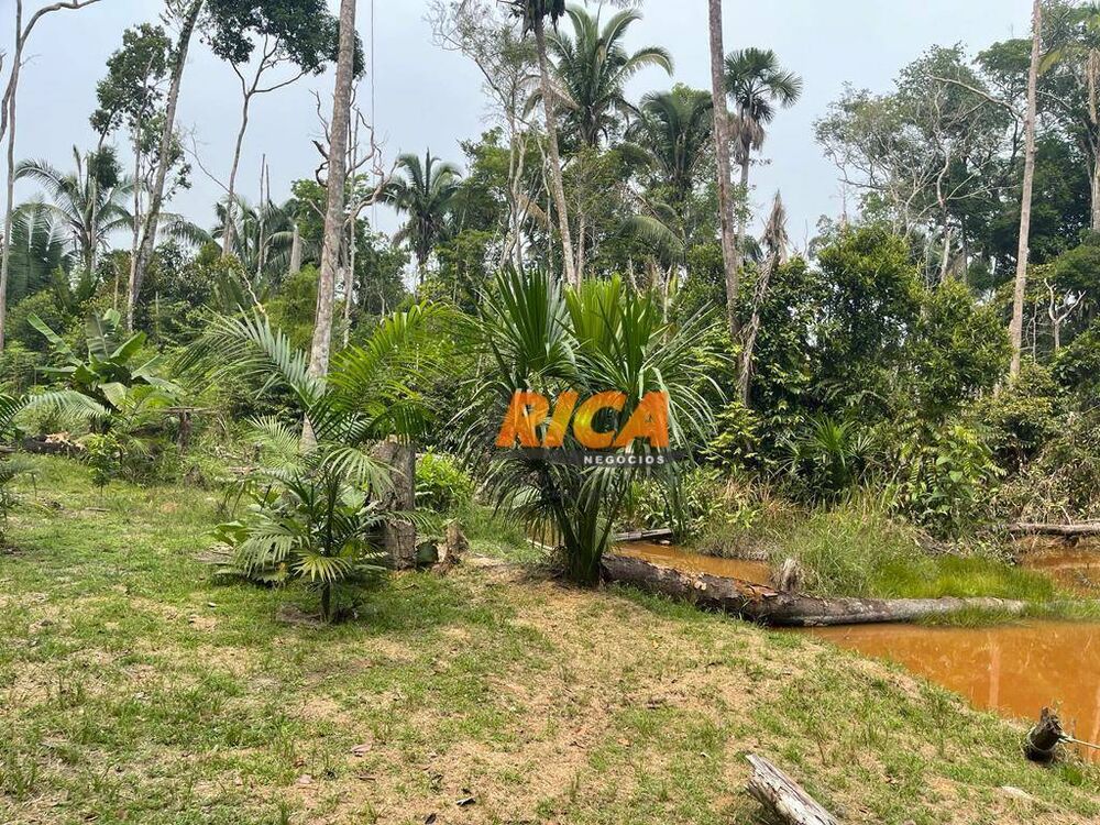 Chácara, 2 hectares - Foto 11