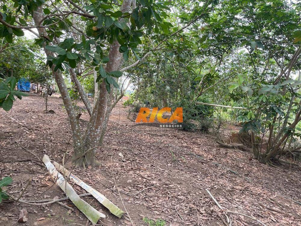Chácara, 2 hectares - Foto 23