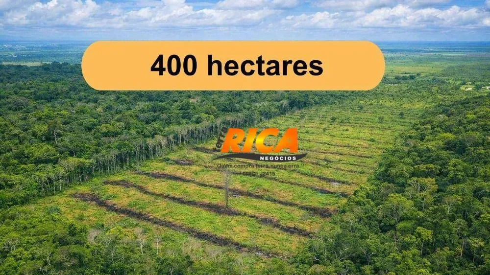 Fazenda, 400 hectares - Foto 2