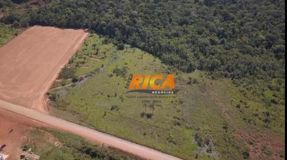 Sítio, 13 hectares - Foto 7