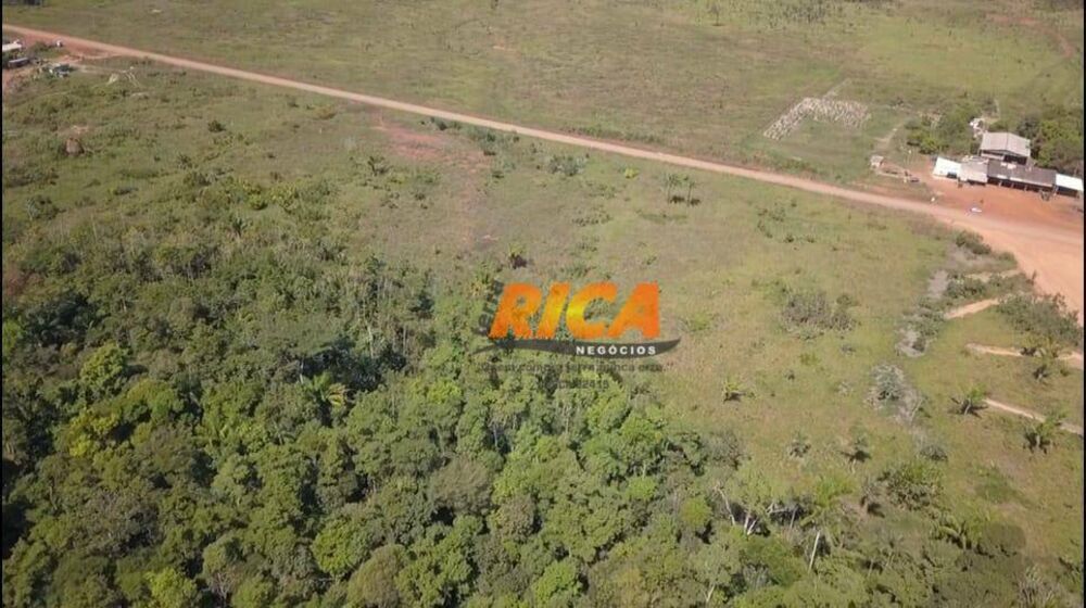 Sítio, 13 hectares - Foto 6