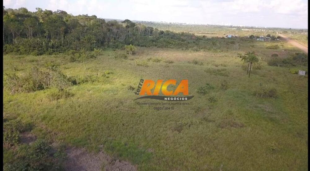 Sítio, 13 hectares - Foto 5