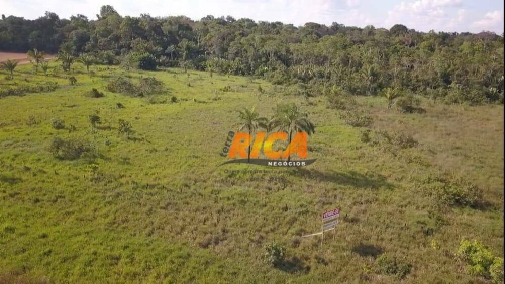 Sítio, 13 hectares - Foto 3