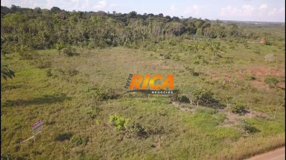 Sítio, 13 hectares - Foto 4