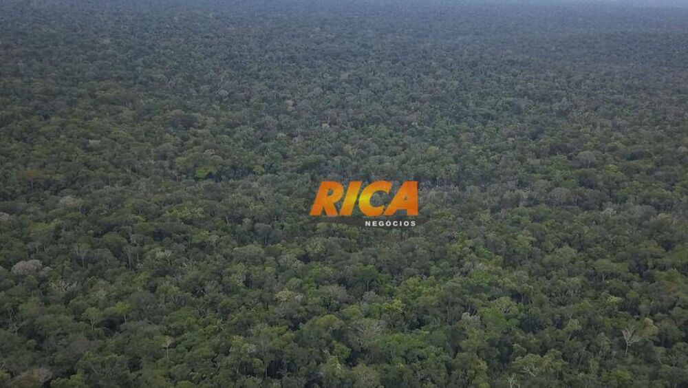 Terreno, 239 hectares - Foto 4