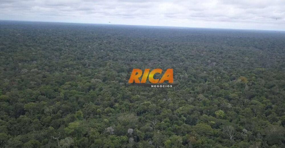 Terreno, 239 hectares - Foto 3