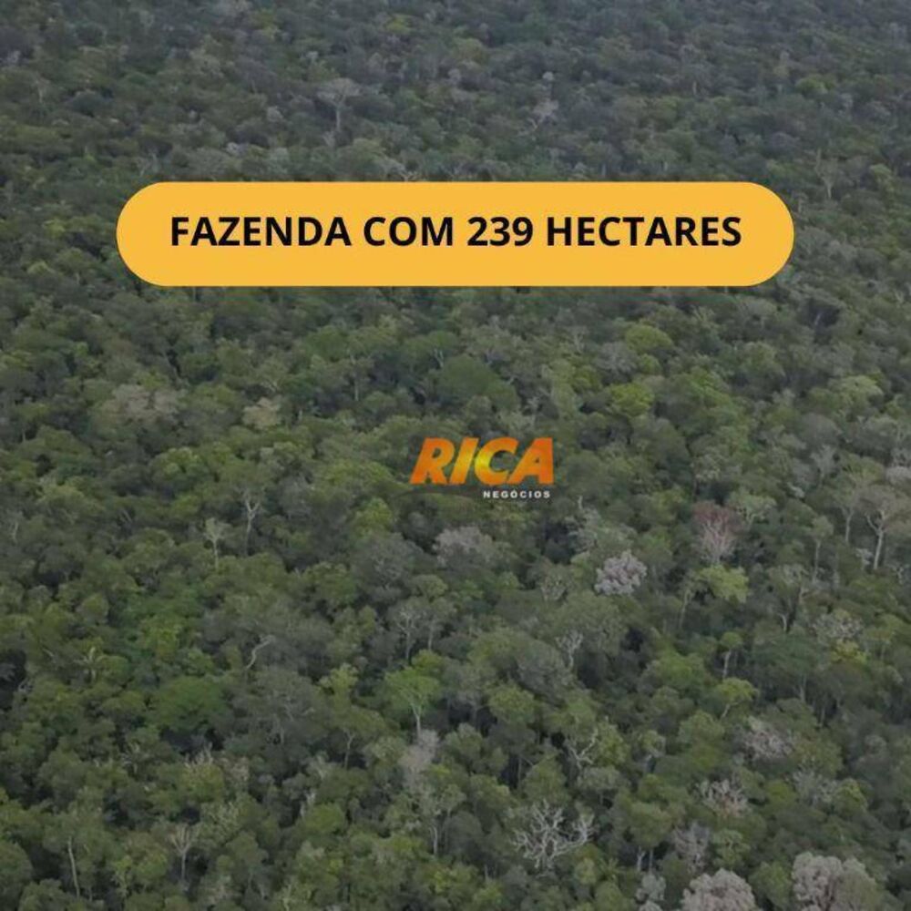 Terreno, 239 hectares - Foto 1