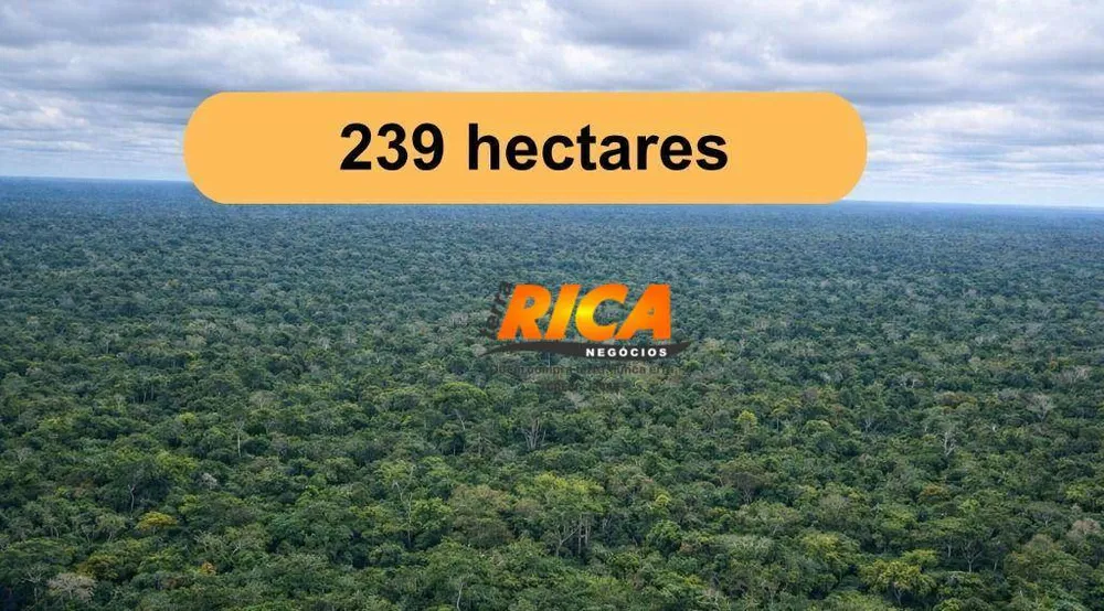 Terreno, 239 hectares - Foto 1