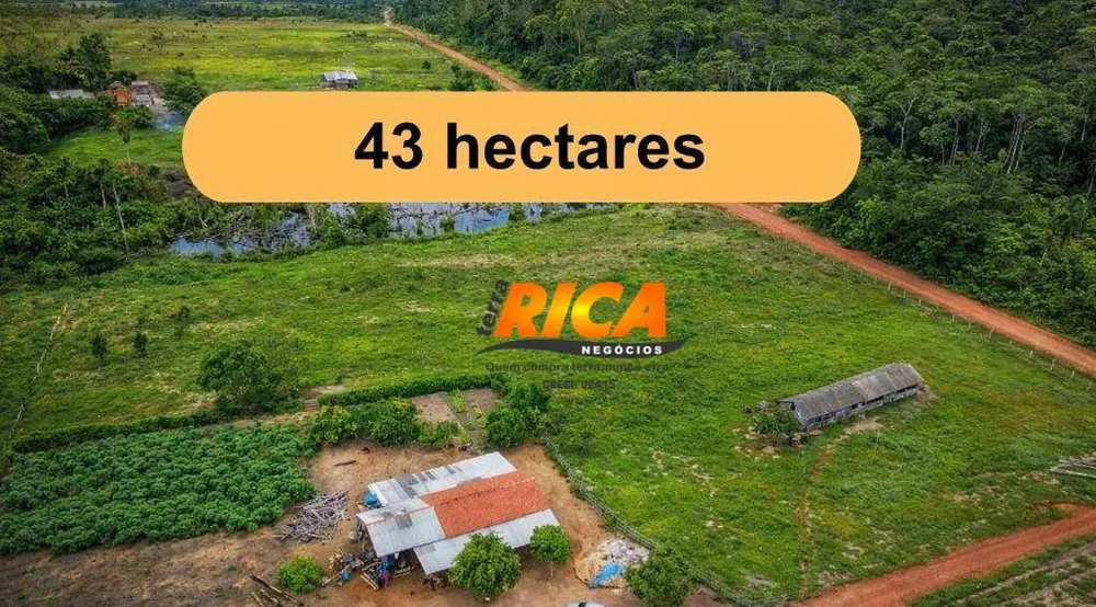 Sítio, 43 hectares - Foto 6