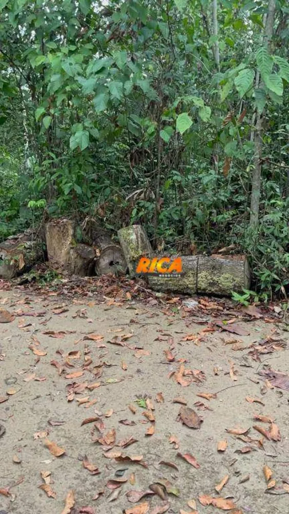 Sítio, 5 quartos, 2 hectares - Foto 7