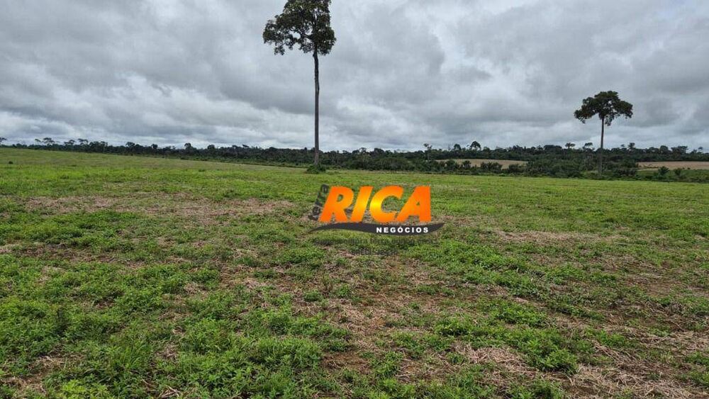 Sítio, 53 hectares - Foto 4