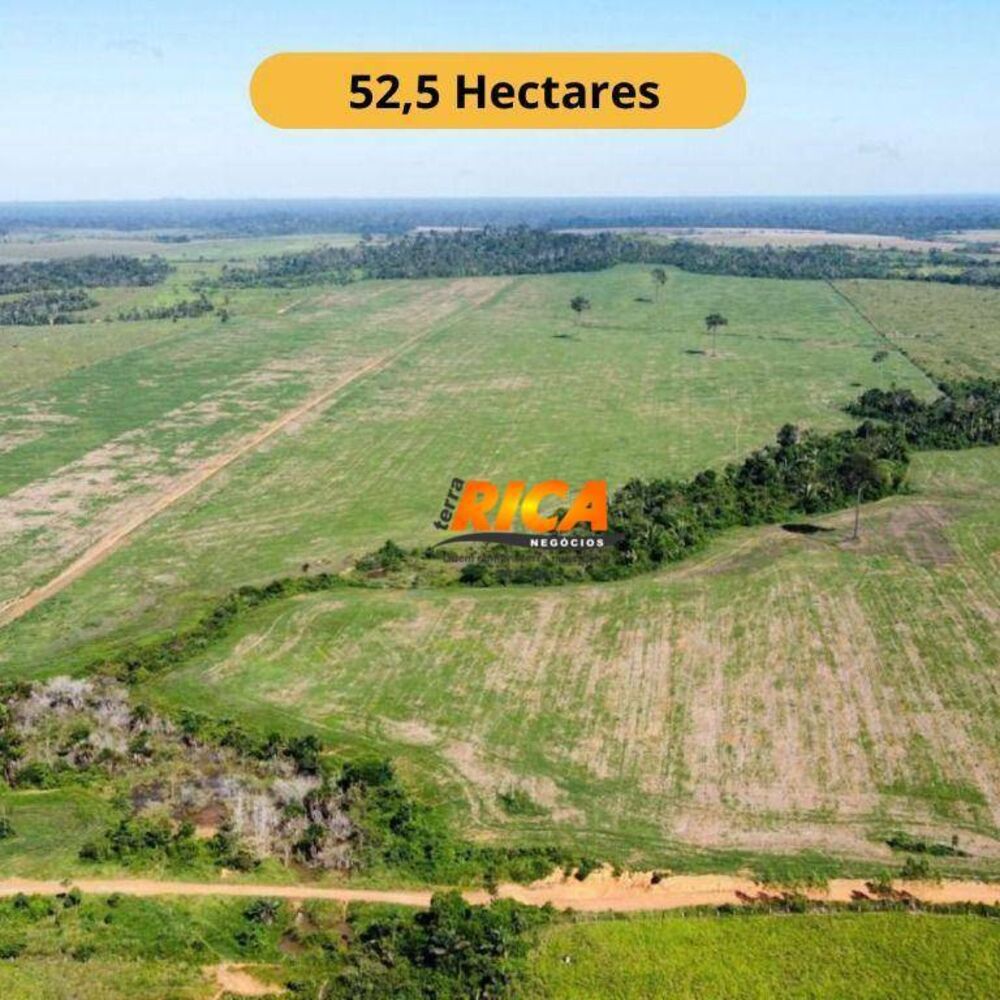 Sítio, 53 hectares - Foto 1