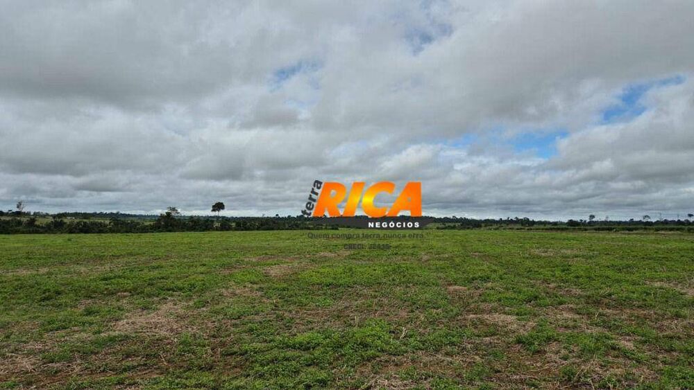 Sítio, 53 hectares - Foto 7