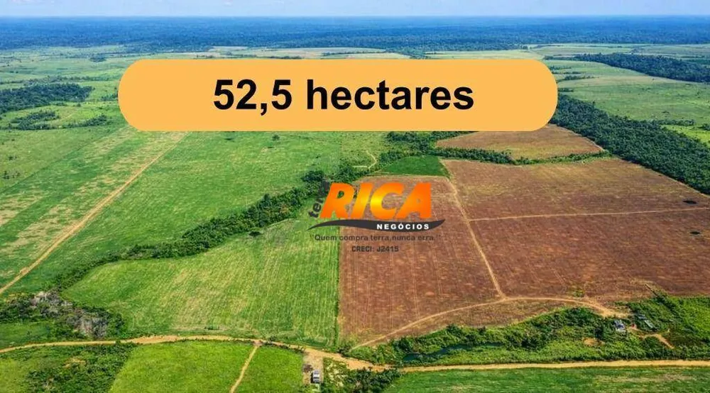 Sítio, 53 hectares - Foto 3
