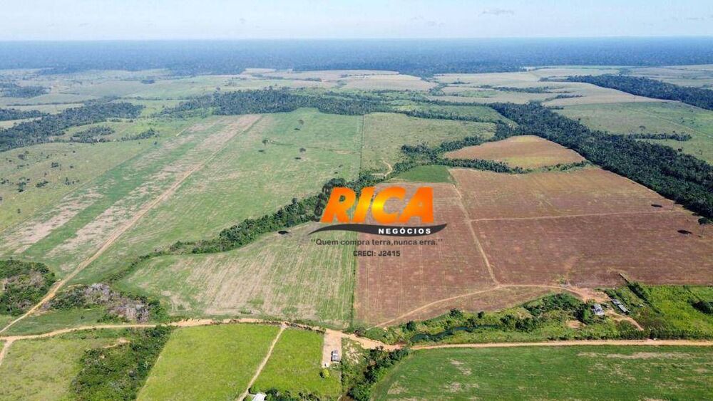 Sítio, 53 hectares - Foto 2