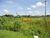Terreno, 9089 m² - Foto 2