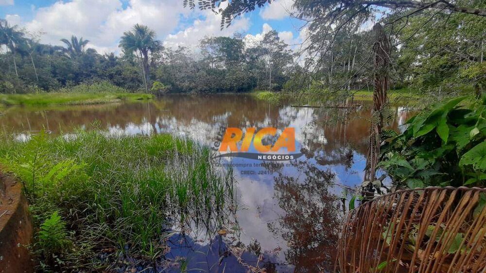 Chácara, 3 hectares - Foto 4