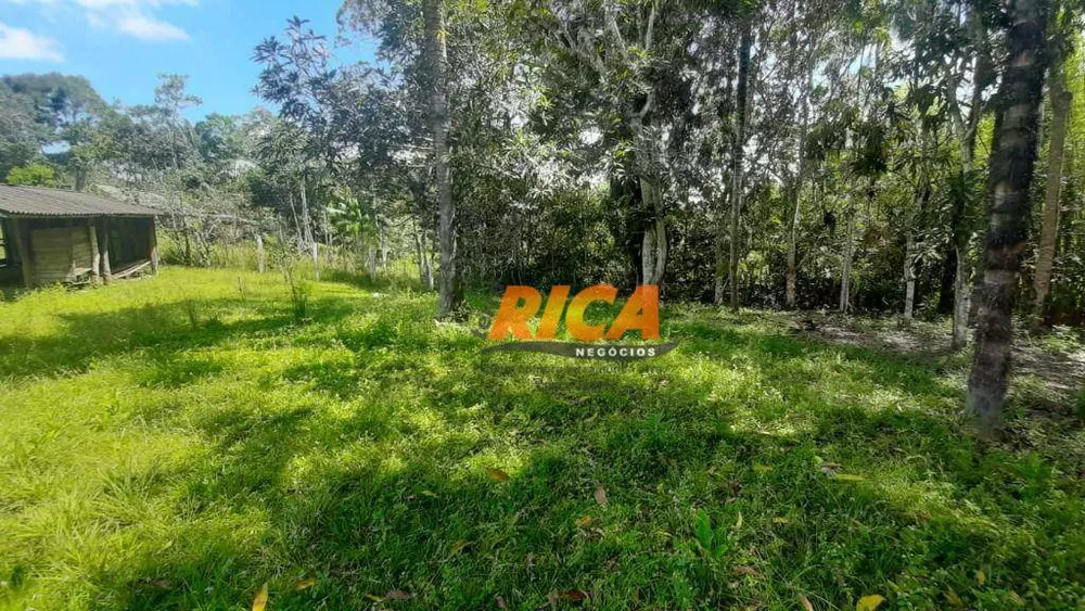 Chácara, 3 hectares - Foto 10