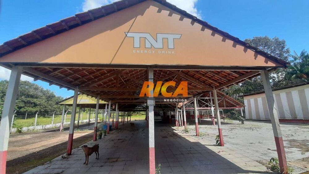 Chácara, 3 hectares - Foto 11