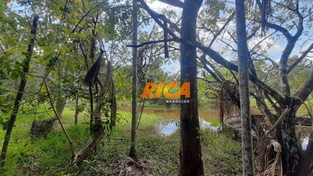 Chácara, 3 hectares - Foto 6