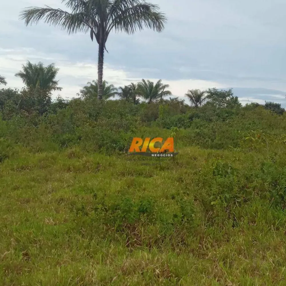 Fazenda, 650 hectares - Foto 10