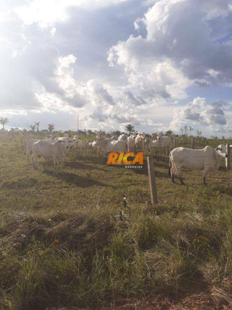 Fazenda à venda, 6500000M2 - Foto 2
