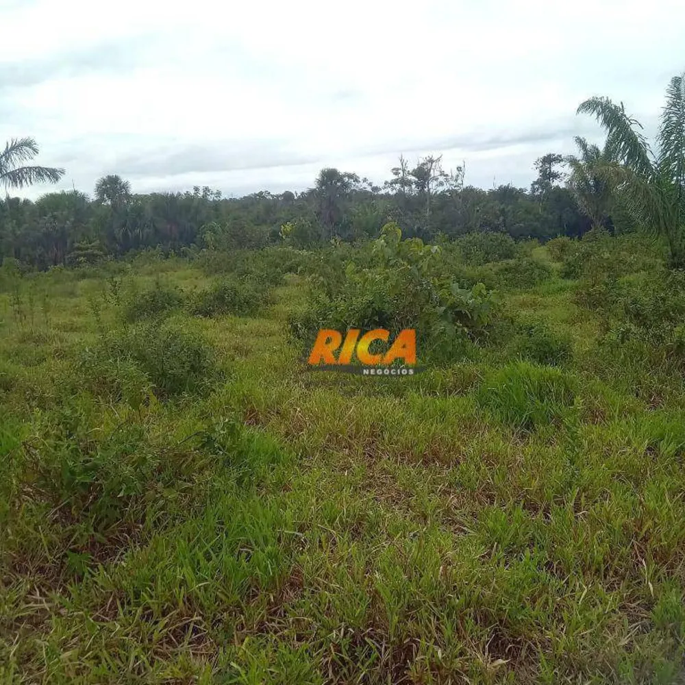 Fazenda, 650 hectares - Foto 6