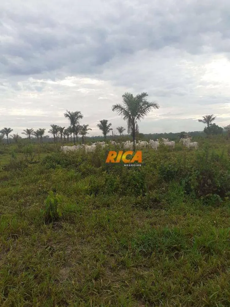 Fazenda, 650 hectares - Foto 8