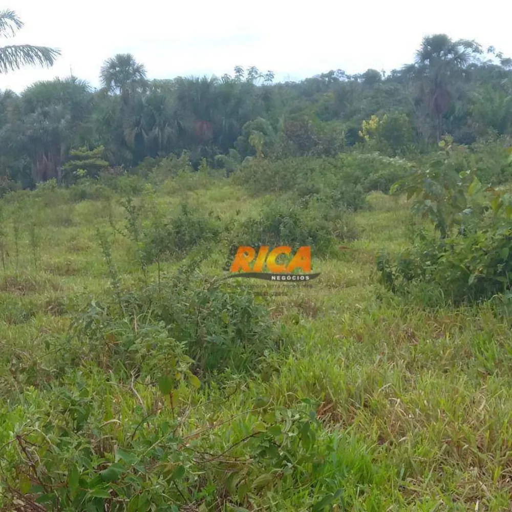 Fazenda, 650 hectares - Foto 11