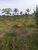 Fazenda, 650 hectares - Foto 1