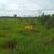 Fazenda, 650 hectares - Foto 3